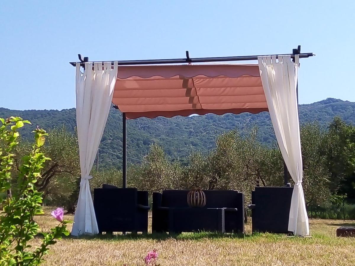 Appartement Casale I Burroni à Arezzo Extérieur photo